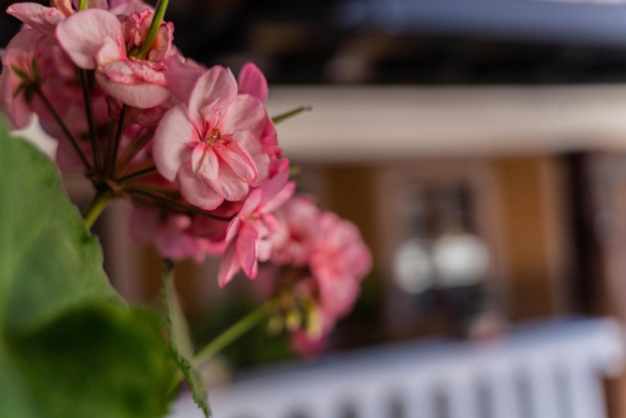 Casa Graciela Hotel Пацкуаро Екстер'єр фото